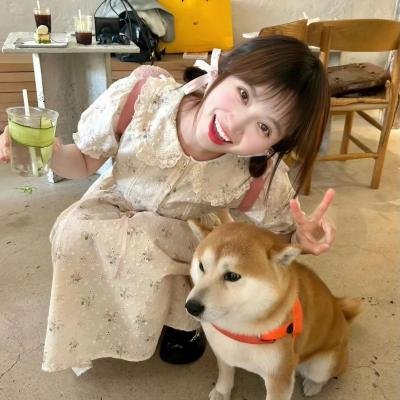 散步的侵略者